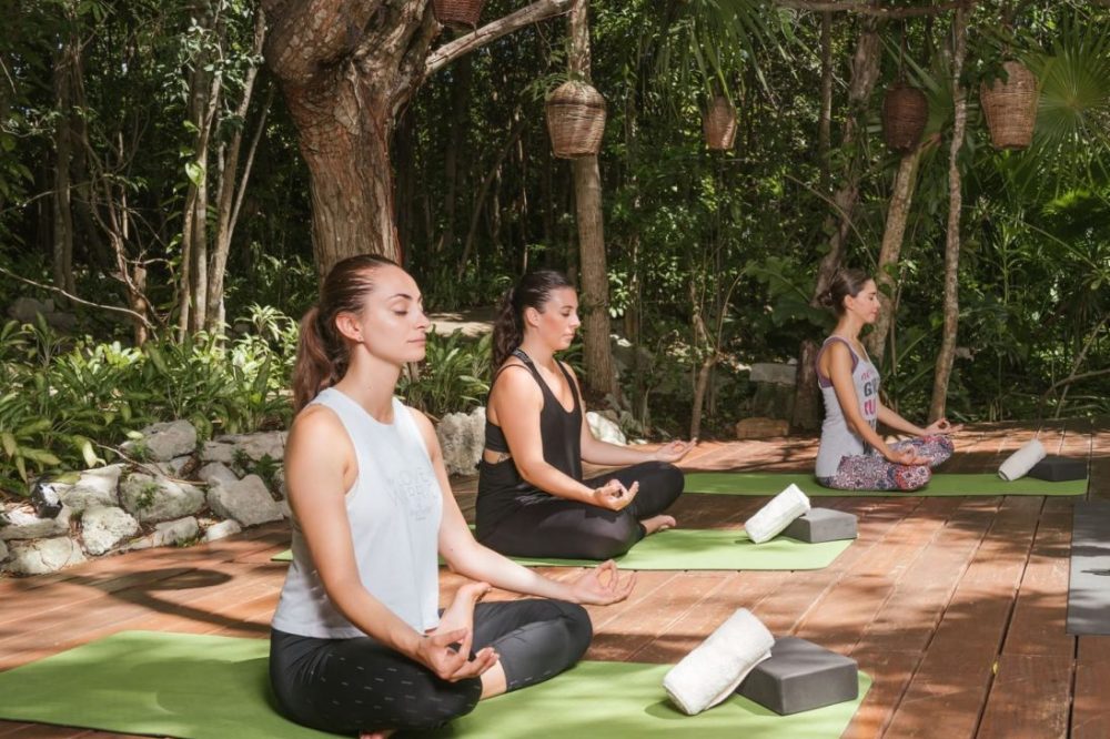 Koh samui Detox1 Koh samui Detox1